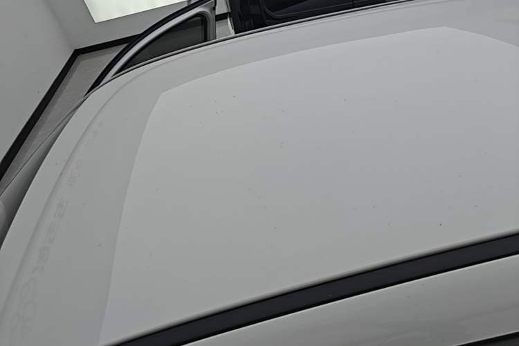 Used ORA Black Cat 2021 301km Cute Pet Edition Roof