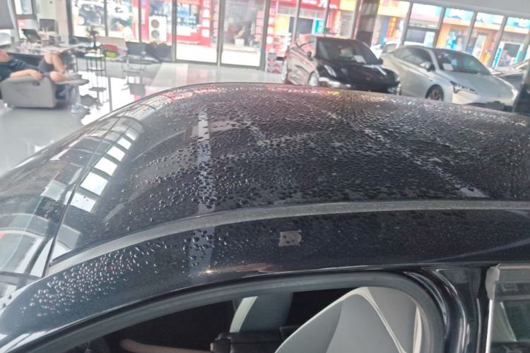 Used ORA Black Cat 2021 405 km Long-Range Version Roof