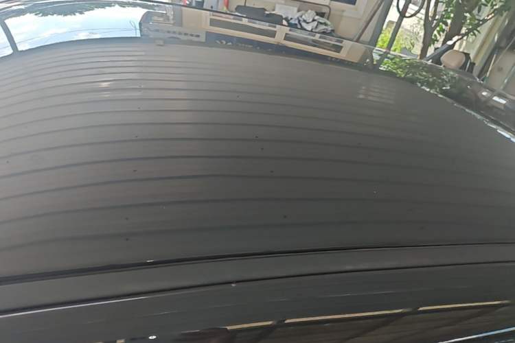 Used ORA Black Cat 2021 351 km Standard Version Roof