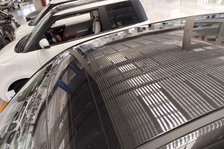 Used ORA Black Cat 2021 351 km Standard Version Roof