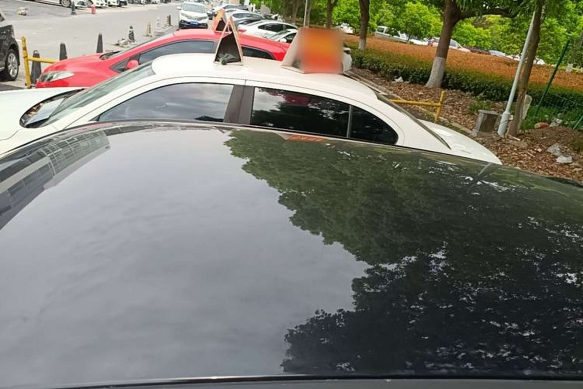Used ORA Black Cat 2021 351 km Standard Version Roof