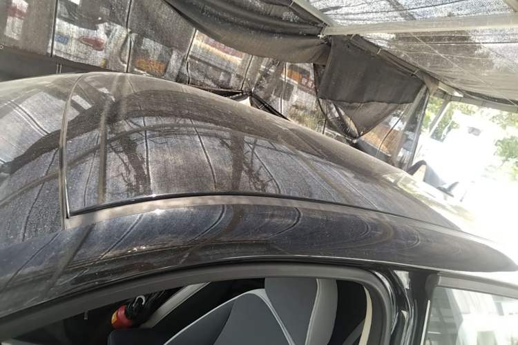 Used ORA Black Cat 2021 301 km Basic Version Roof