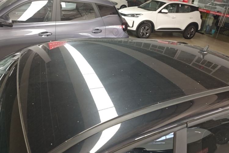 Used ORA Black Cat 2021 301 km Basic Version Roof