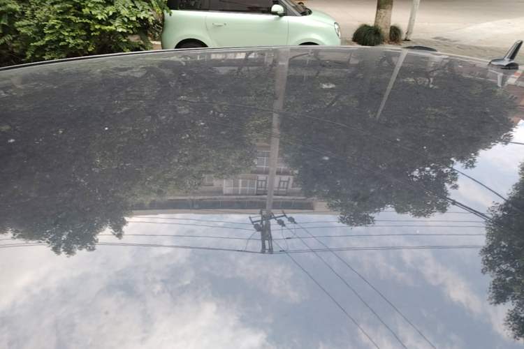 Used ORA Black Cat 2021 351 km Standard Version Roof
