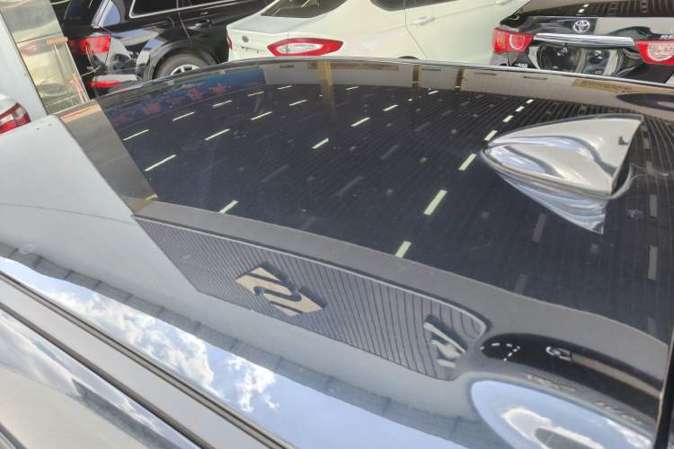 Used ORA Black Cat 2021 301 km Basic Version Roof