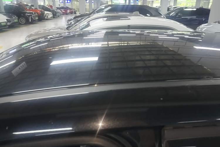 Used ORA Black Cat 2021 351 km Luxury Version Roof