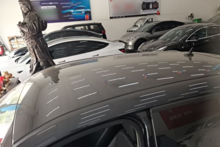 Used ORA Black Cat 2021 351 km Standard Version Roof