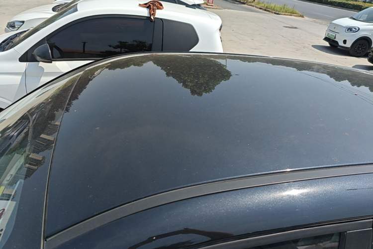 Used ORA Black Cat 2021 351 km Standard Version Roof