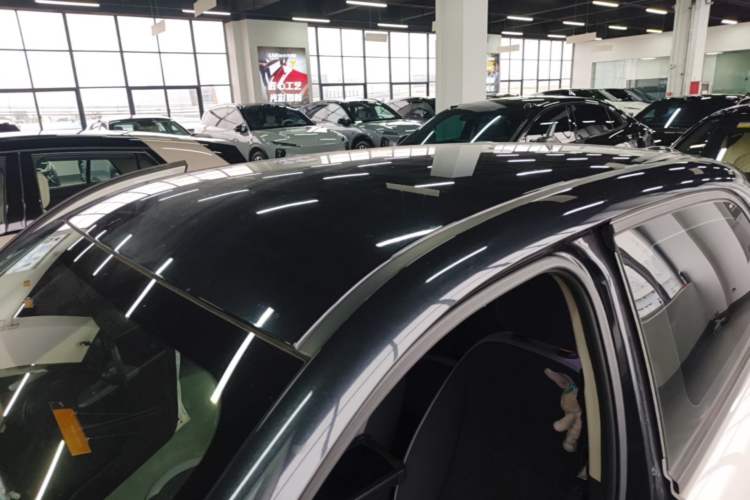 Used ORA Black Cat 2021 301km Cute Pet Edition Roof