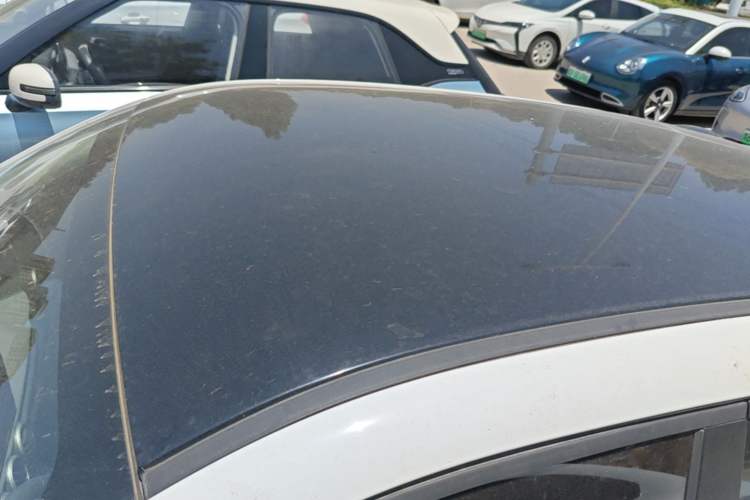 Used ORA Black Cat 2021 301 km Basic Version Roof