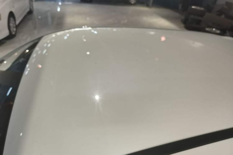 Used ORA Black Cat 2021 301 km Basic Version Roof