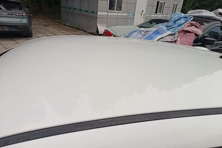 Used ORA Black Cat 2021 405 km Long-Range Version Roof