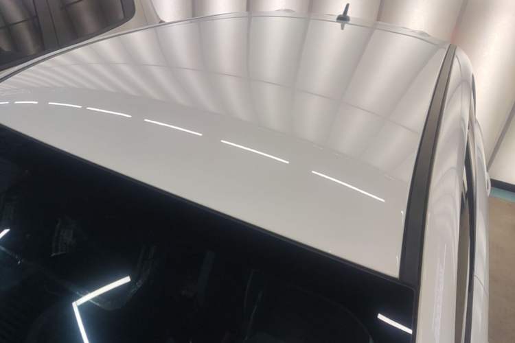 Used ORA Black Cat 2021 301 km Basic Version Roof
