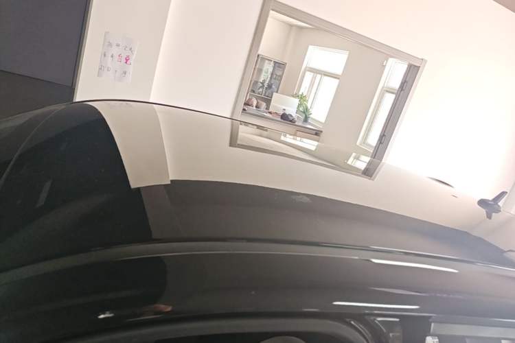 Used ORA Black Cat 2021 351 km Luxury Version Roof