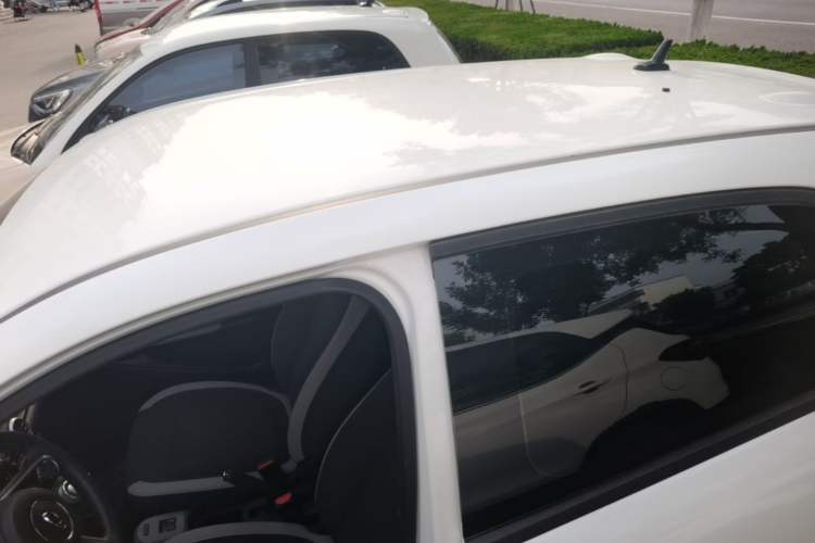 Used ORA Black Cat 2021 301 km Basic Version Roof