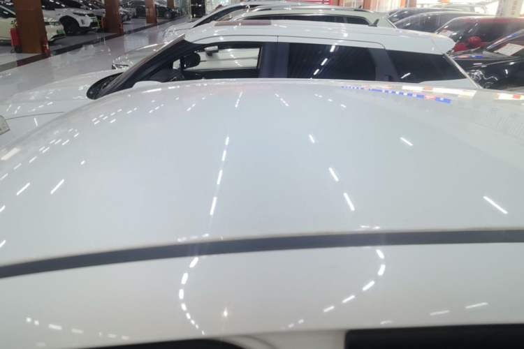 Used ORA Black Cat 2021 301 km Basic Version Roof