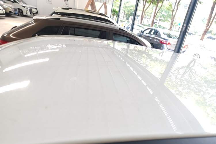 Used ORA Black Cat 2021 301 km Basic Version Roof