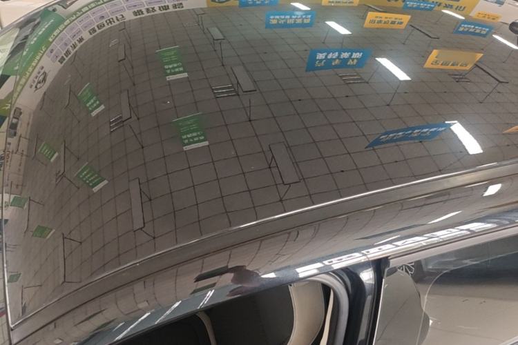 Used ORA Black Cat 2021 301 km Basic Version Roof