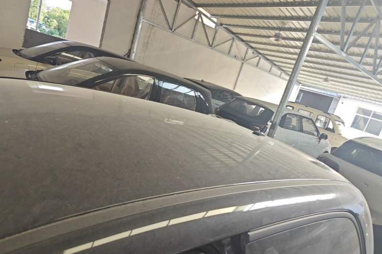 Used ORA Black Cat 2021 351 km Standard Version Roof