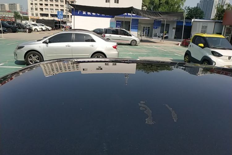 Used ORA Black Cat 2021 301km Cute Pet Edition Roof