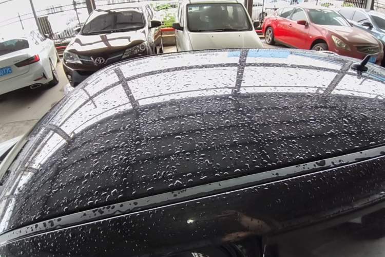 Used ORA Black Cat 2021 351 km Standard Version Roof
