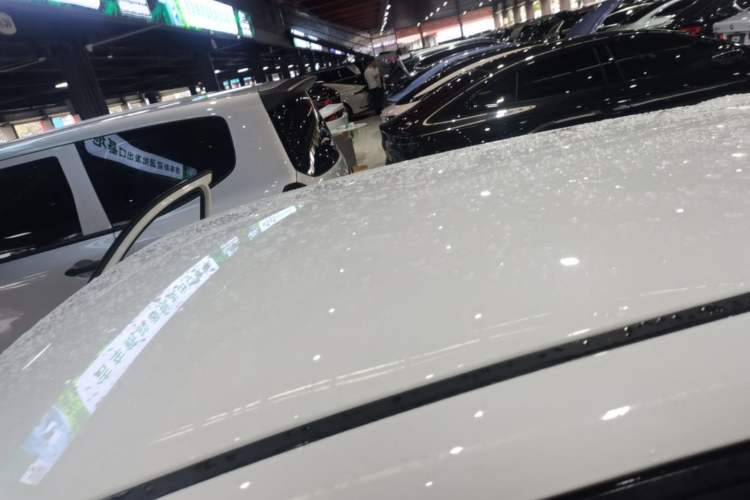 Used ORA Black Cat 2021 301km Cute Pet Edition Roof