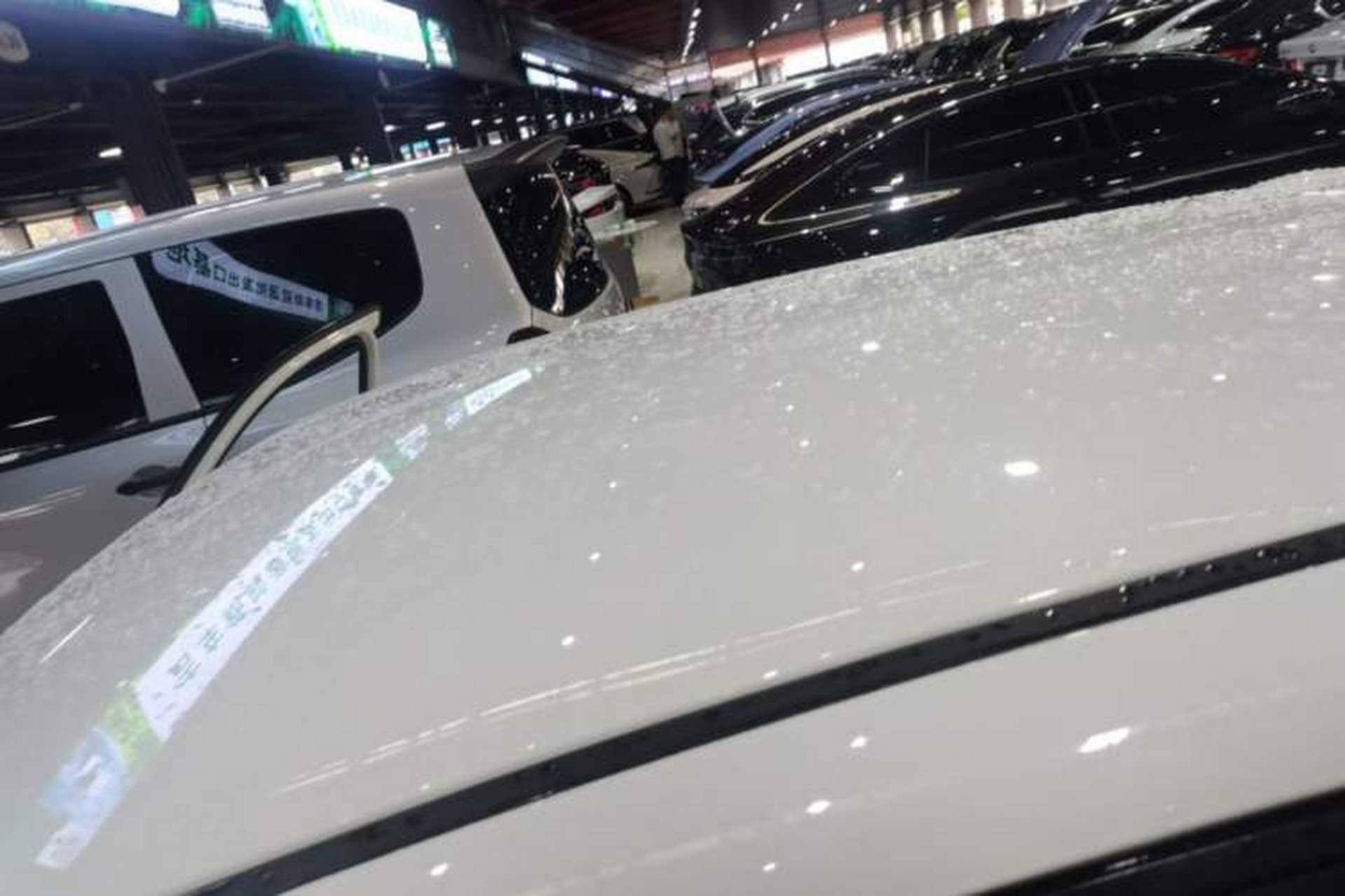 Used ORA Black Cat 2021 301km Cute Pet Edition Roof