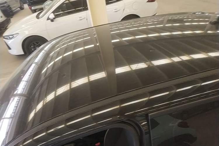Used ORA Black Cat 2021 301 km Basic Version Roof