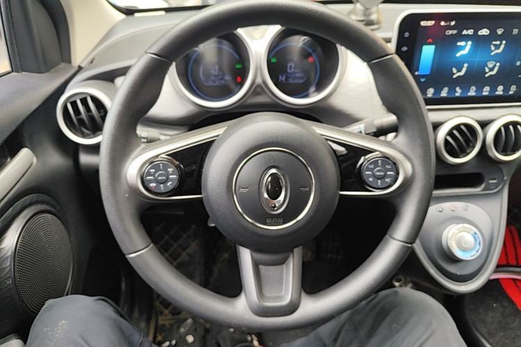 Used ORA Black Cat 2021 301 km Basic Version Steering Wheel