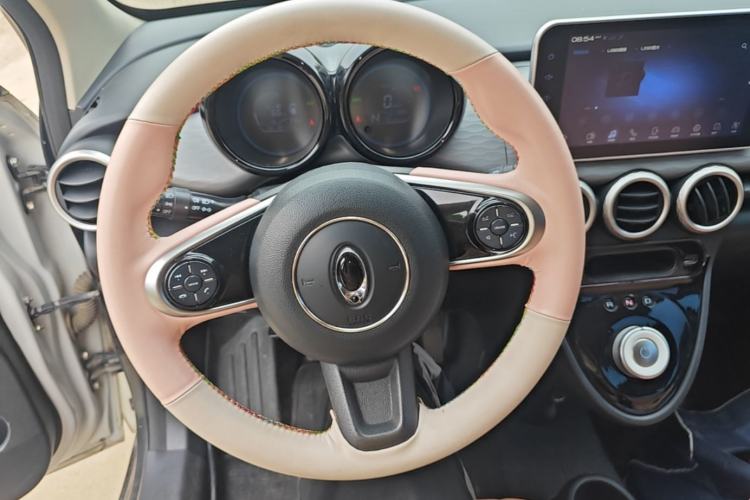 Used ORA Black Cat 2021 351 km Standard Version Steering Wheel