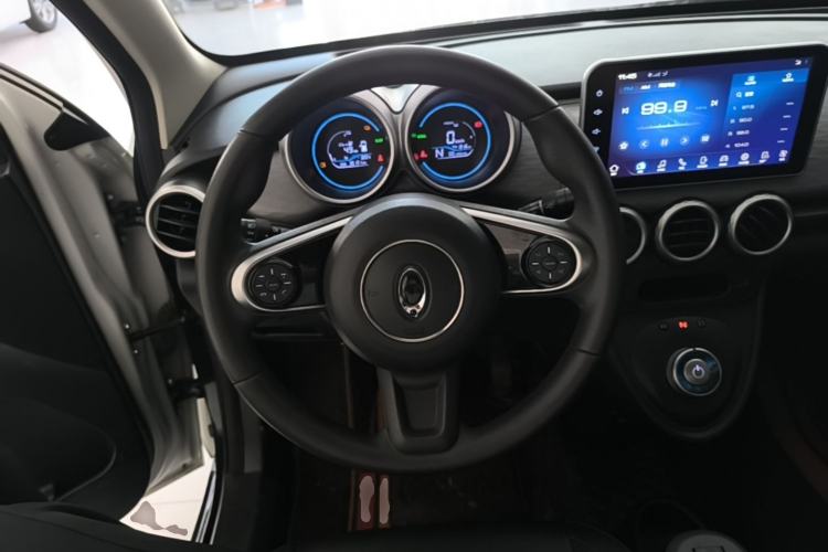 Used ORA Black Cat 2021 351 km Standard Version Steering Wheel
