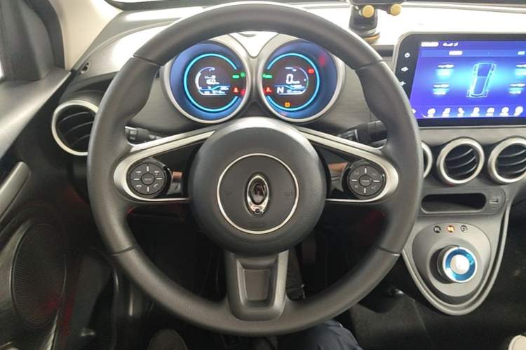Used ORA Black Cat 2021 301 km Basic Version Steering Wheel