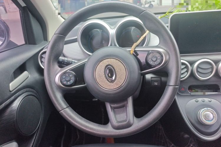 Used ORA Black Cat 2021 351 km Standard Version Steering Wheel