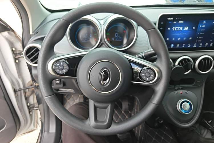 Used ORA Black Cat 2021 351 km Luxury Version Steering Wheel