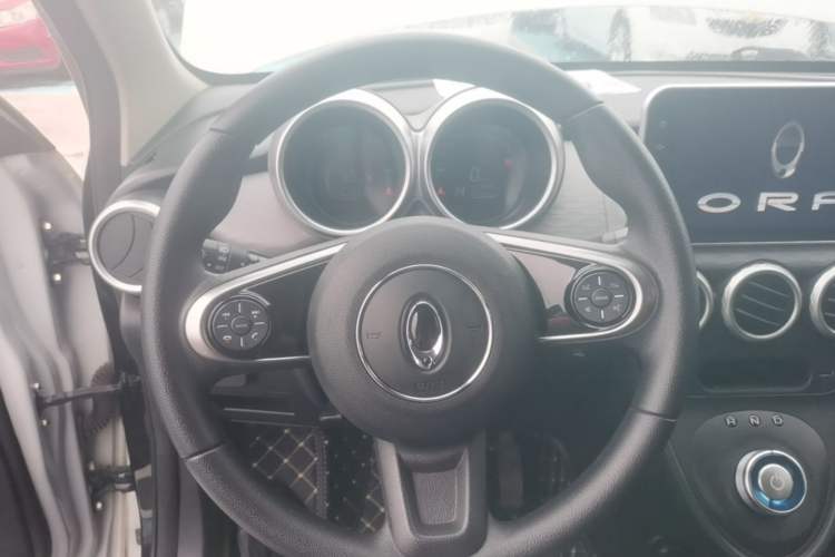Used ORA Black Cat 2021 301 km Basic Version Steering Wheel