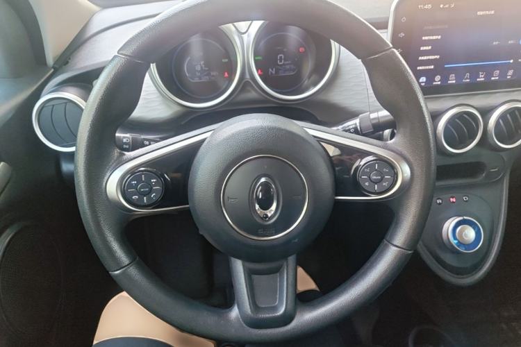 Used ORA Black Cat 2021 351 km Standard Version Steering Wheel