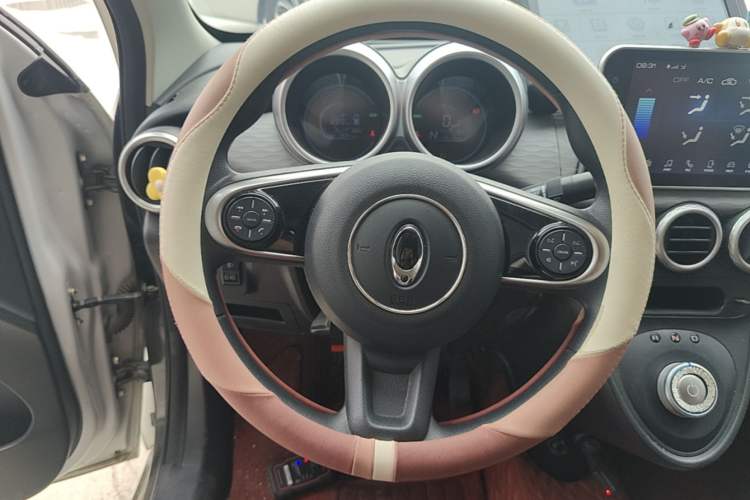 Used ORA Black Cat 2021 351 km Standard Version Steering Wheel