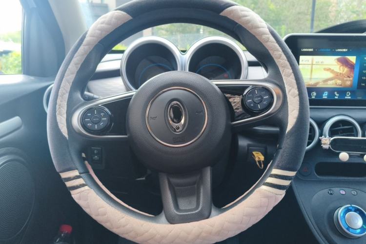 Used ORA Black Cat 2021 301 km Basic Version Steering Wheel