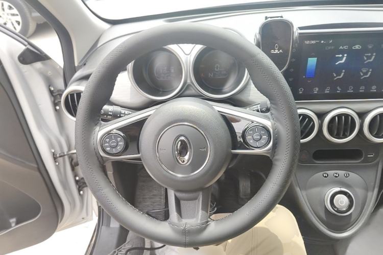 Used ORA Black Cat 2021 351 km Standard Version Steering Wheel