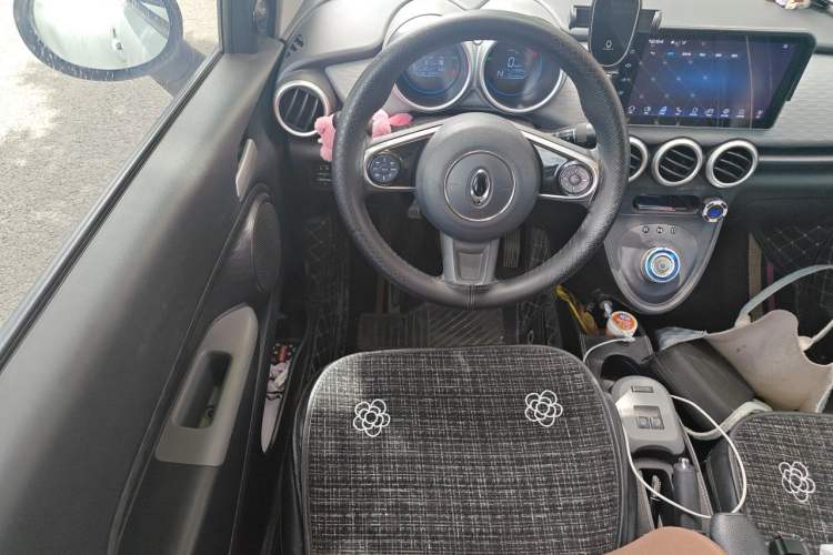 Used ORA Black Cat 2021 301 km Basic Version Steering Wheel