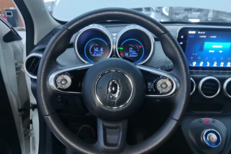 Used ORA Black Cat 2021 301 km Basic Version Steering Wheel