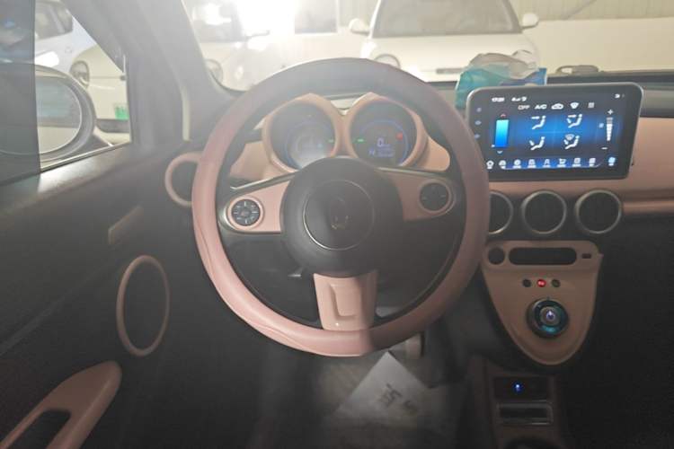 Used ORA Black Cat 2021 351 km Standard Version Steering Wheel