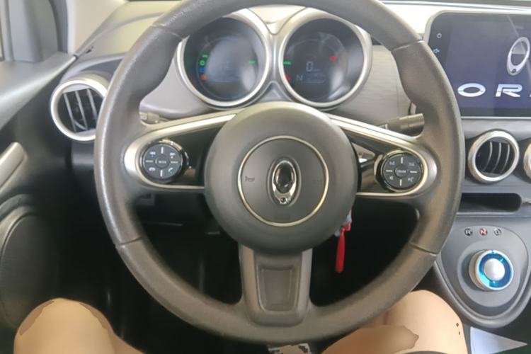 Used ORA Black Cat 2021 351 km Luxury Version Steering Wheel