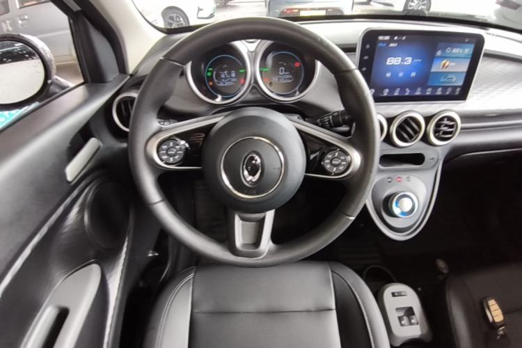 Used ORA Black Cat 2021 351 km Standard Version Steering Wheel