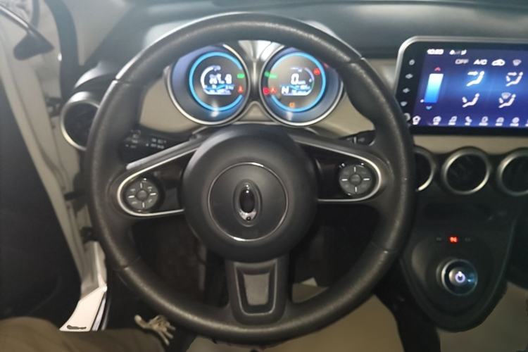 Used ORA Black Cat 2021 301 km Basic Version Steering Wheel