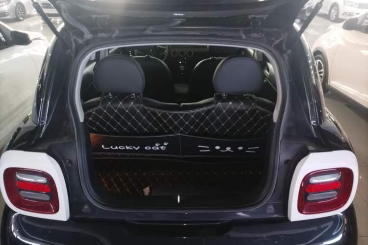 Used ORA Black Cat 2021 301km Cute Pet Edition Trunk