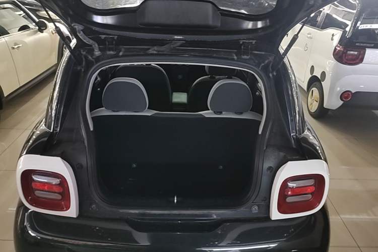 Used ORA Black Cat 2021 301km Cute Pet Edition Trunk