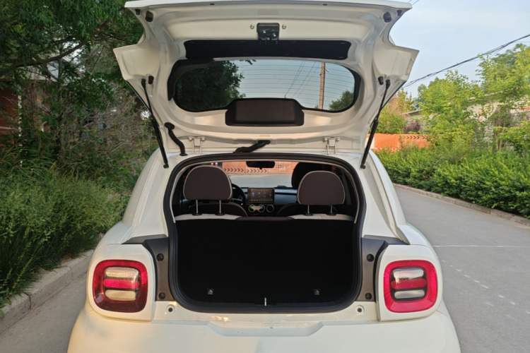 Used ORA Black Cat 2021 351 km Luxury Version Trunk