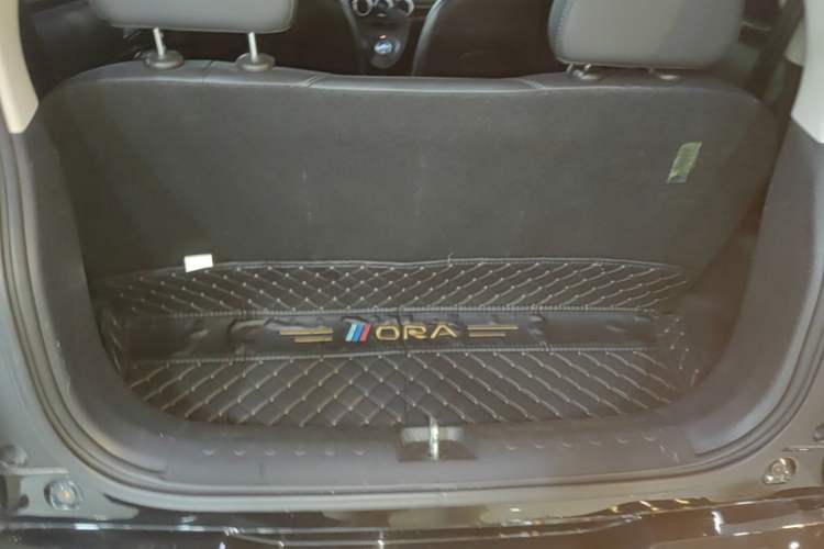 Used ORA Black Cat 2021 351 km Standard Version Trunk