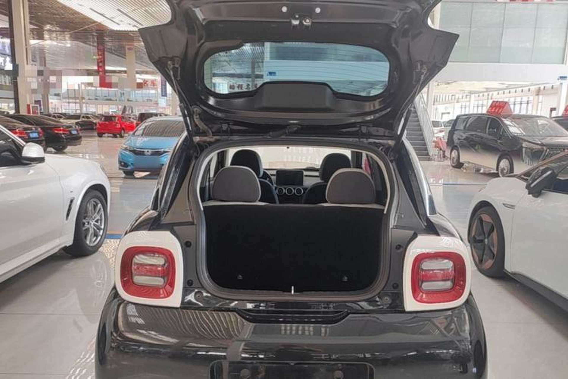 Used ORA Black Cat 2021 301 km Basic Version Trunk